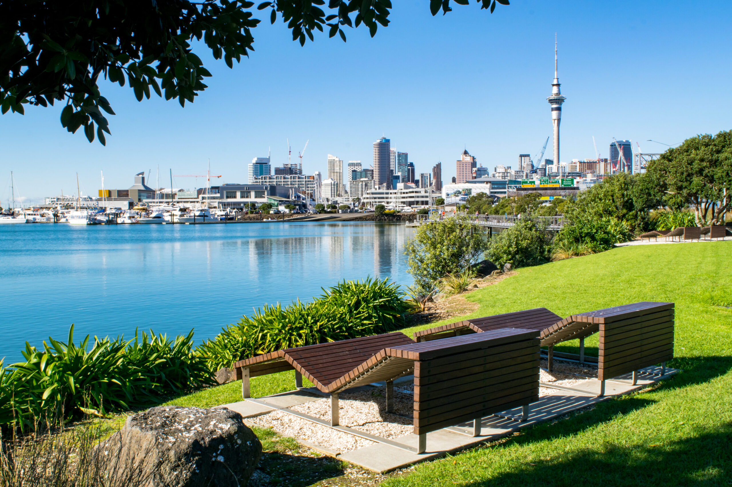 Banci in Waterfront Park cu vedere la centrul orasului Auckland, Noua Zeelanda