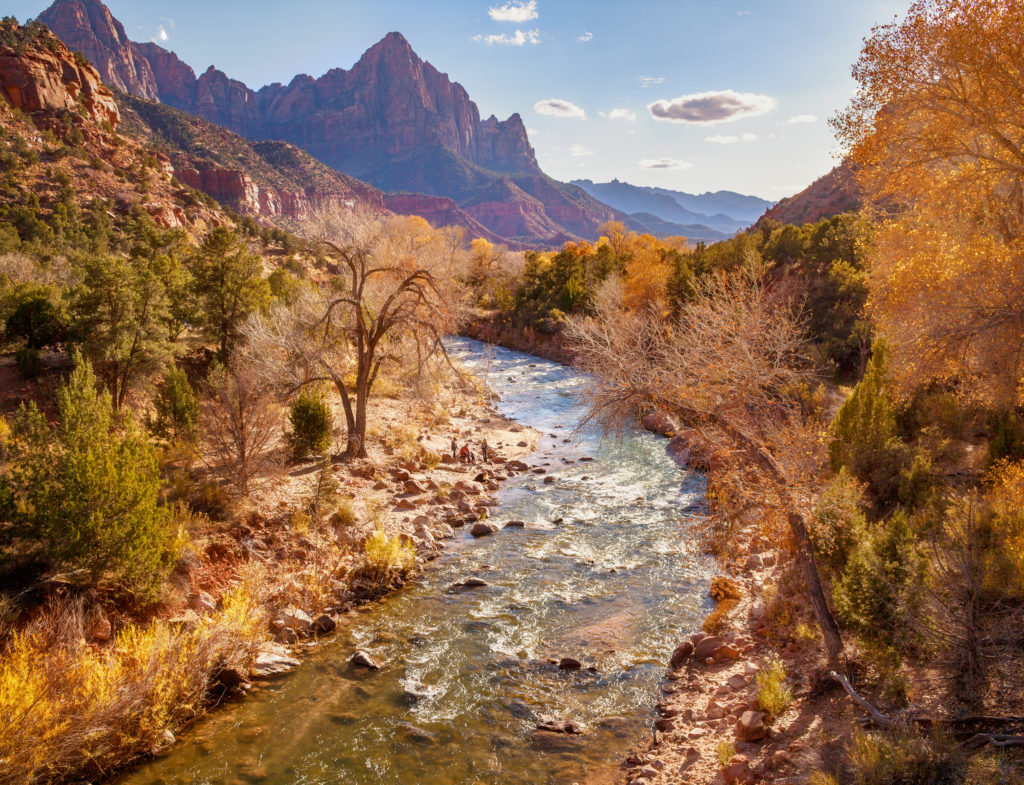 Frunzis de toamna care inconjoara un parau in Parcul National Zion, Utah