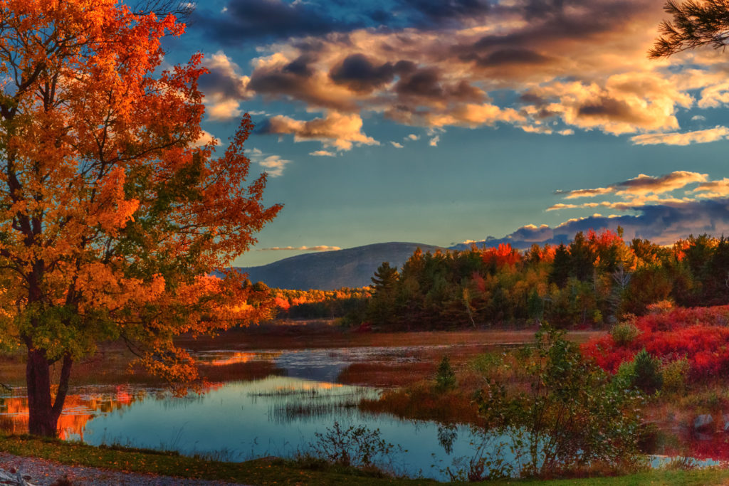 Lac din Parcul National Acadia, inconjurat de frunzis de toamna