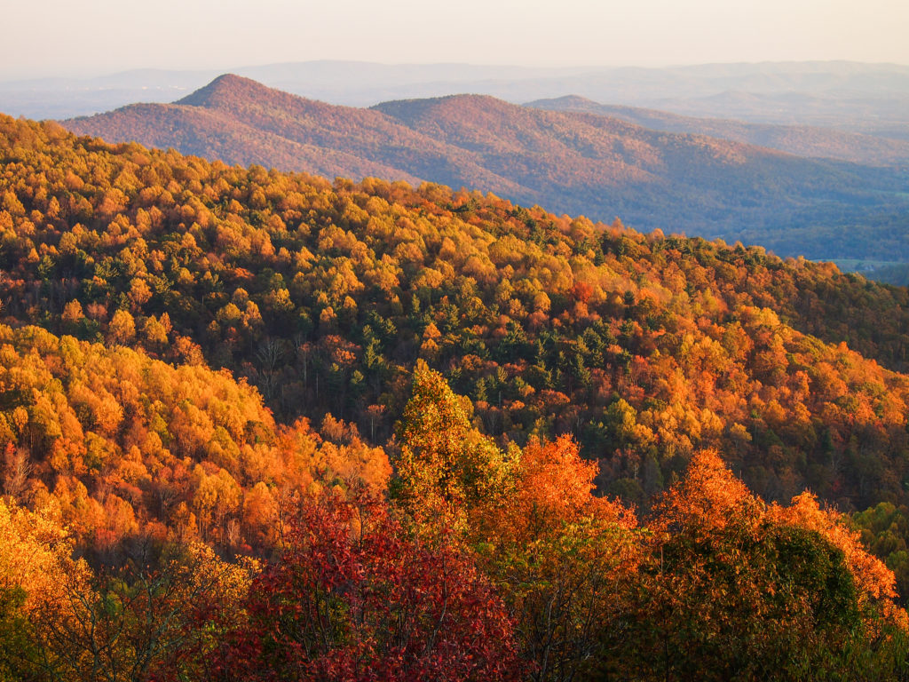 Vedere a frunzisului de toamna in Parcul National Shenandoah, Virginia