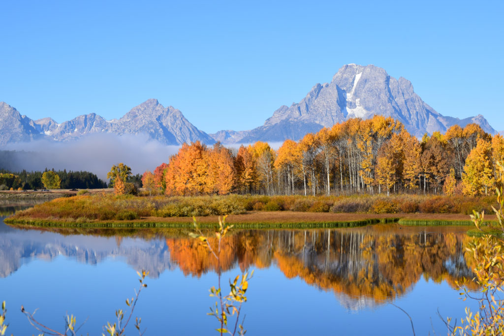 Signal Mountain Grand Teton National Park Fall langa un lac si inconjurat de frunzis de toamna