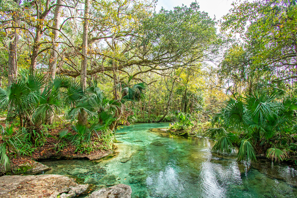 Izvor natural de apa dulce la Kelly Rock Springs Park din Apopka, Florida, la nord de Orlando.