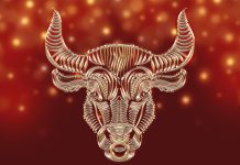 Taurii si viata lor financiara: Afla acum ce-ti prevad astrele