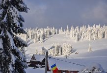 5 motive pentru care iarna este momentul perfect pentru a calatori